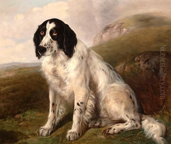 A Spaniel In An Extensive Landscape Oil Painting by Walter Harrowing