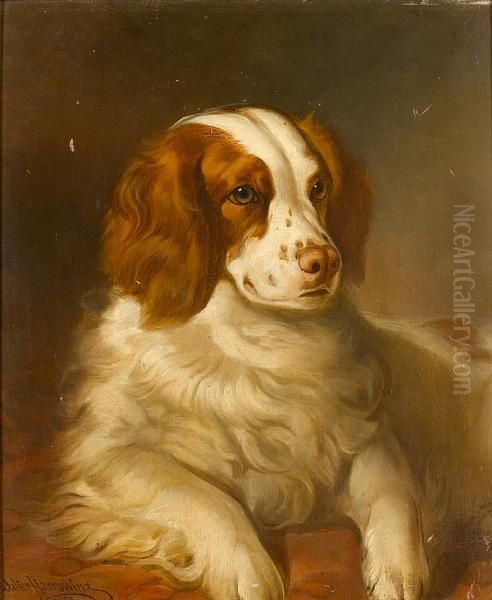 Portrait Of The Springer Spaniel 'billy Bus' Oil Painting by Walter Harrowing