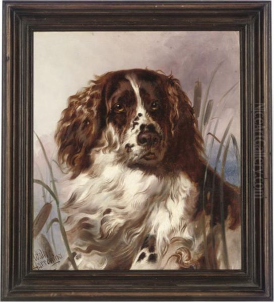 A Faithful Spaniel Oil Painting by Walter Harrowing