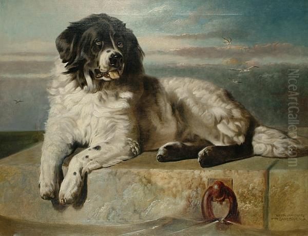 A Distinguished Member Of The Humane Society. Oil Painting by Walter Harrowing