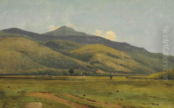 Fields In Summer Oil Painting by William M. Hart