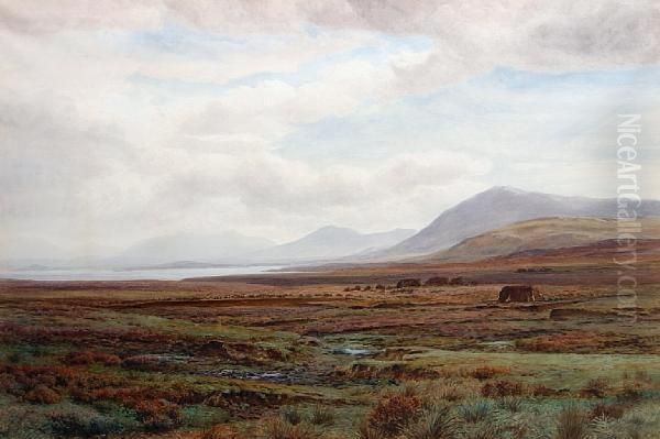 On The Moors, Achill Island, Co. Mayo,ireland Oil Painting by Henry Albert Hartland