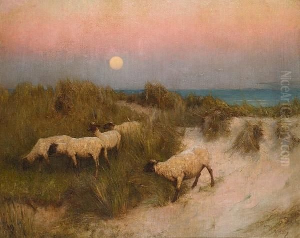 Sheep Grazing Amongst The Dunes Oil Painting by Alfred Hartley