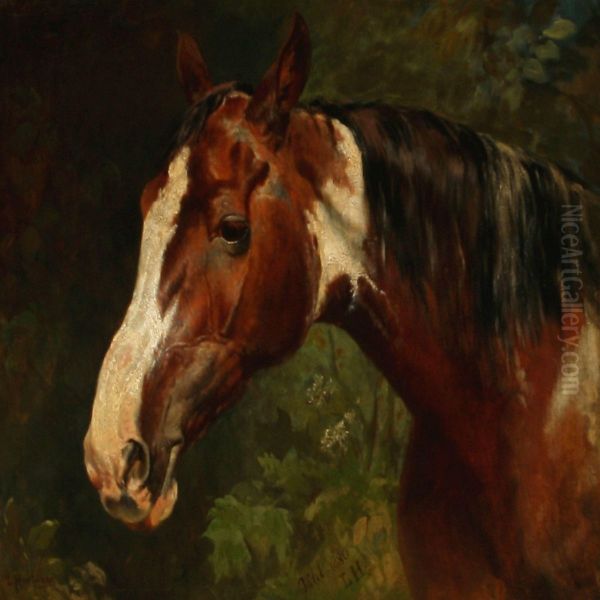 A Horse Head Oil Painting by Ludwig Hartmann