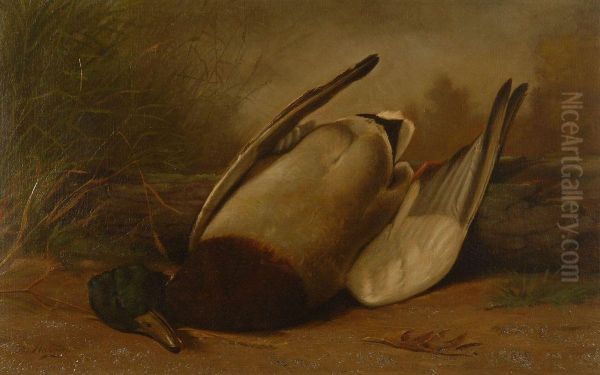 Still Life With Dead Mallard Oil Painting by George Harvey