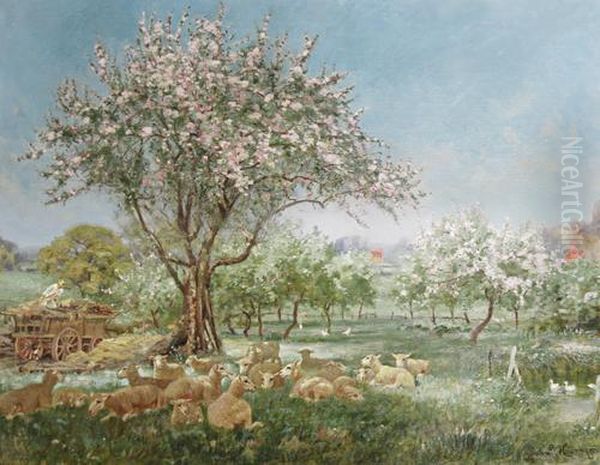 Sheep Resting In The Shade Of A Cheery Tree In Full Bloom Oil Painting by John Rabone Harvey