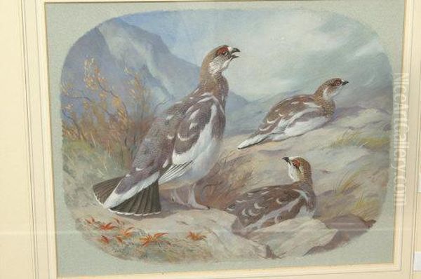 Partridges Oil Painting by John Harwood