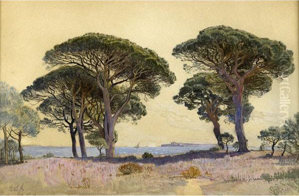 View Of Cannes Oil Painting by William Stanley Haseltine