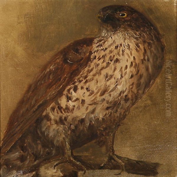 A Buzzard Oil Painting by Otto Haslund