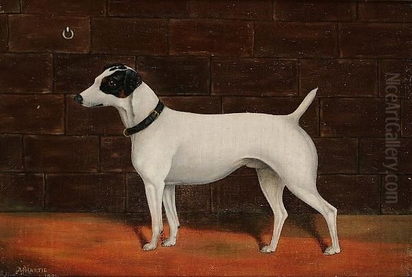 Portrait Of A Terrier Oil Painting by Grace H. Hastie