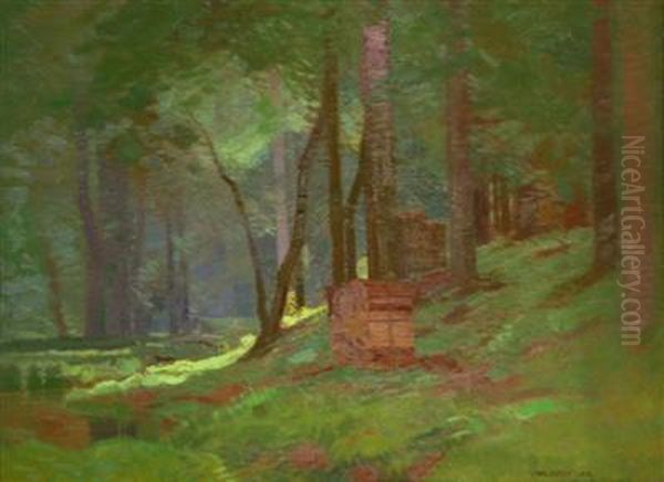 Inside A Forest Oil Painting by Roman Havelka