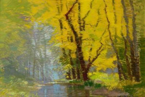 A Forest Brook Oil Painting by Roman Havelka