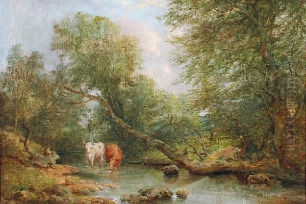 Cattle Watering In A Pond Oil Painting by Joseph Haslam Hawksworth