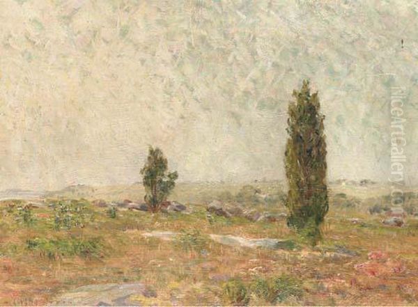 Summer Landscape Oil Painting by Charles H. Hayden