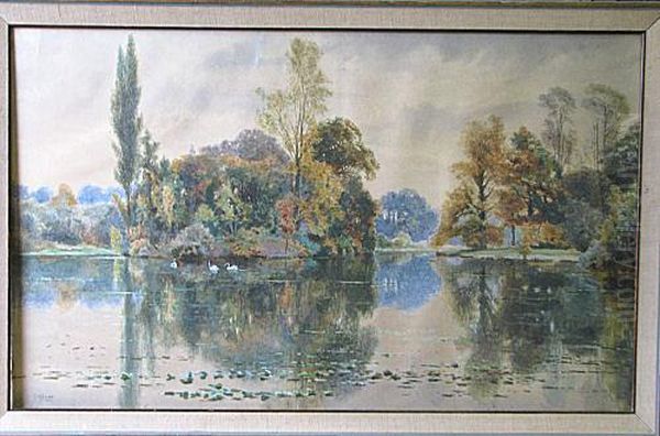 Fswans In Woodedlake Scene Oil Painting by Frederick William Hayes