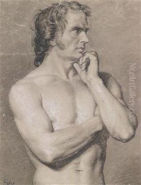 Mannlicher Torso Oil Painting by Francesco Paolo Hayez