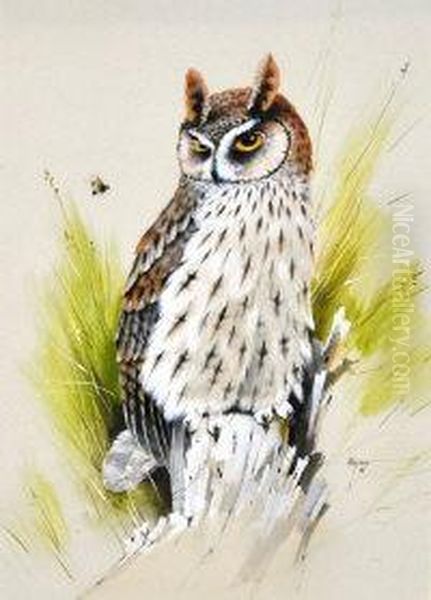 Long Eared Owl Oil Painting by Alan Hayman