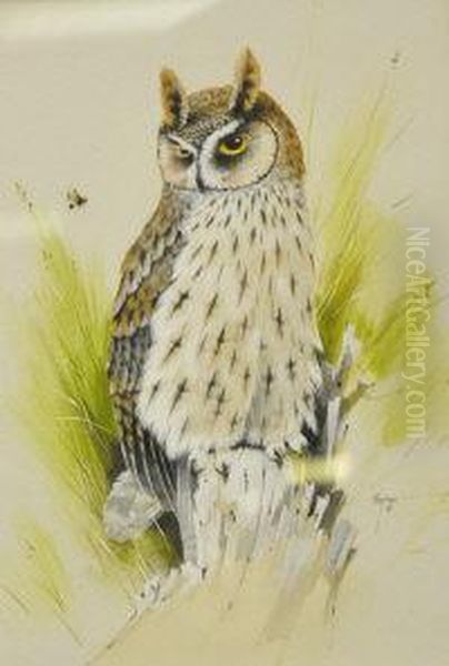 Long Eared Owl Oil Painting by Alan Hayman