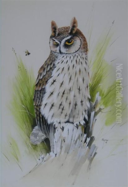 Long Earred Owl Oil Painting by Alan Hayman