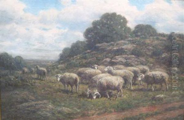 Sheep On The Hill Oil Painting by George Arthur Hays