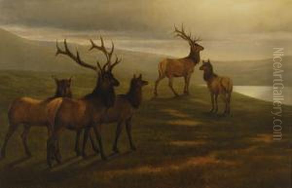 American Elk Oil Painting by William Jacob Hays