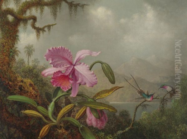 Orchids And Hummingbirds Oil Painting by Martin Johnson Heade