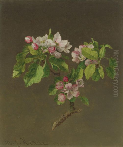 Apple Blossoms Oil Painting by Martin Johnson Heade