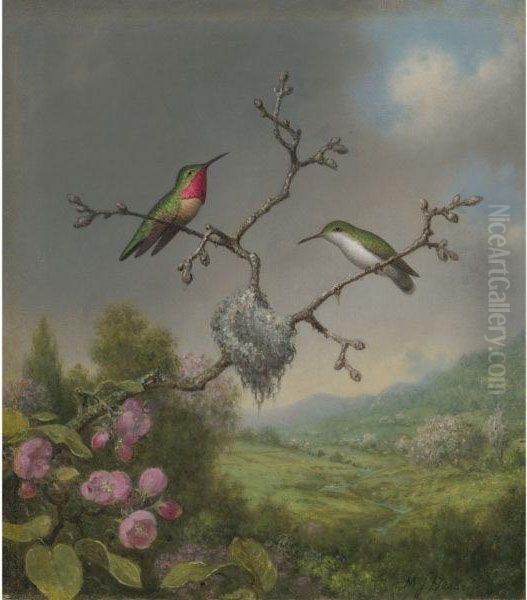 Hummingbirds And Apple Blossoms Oil Painting by Martin Johnson Heade