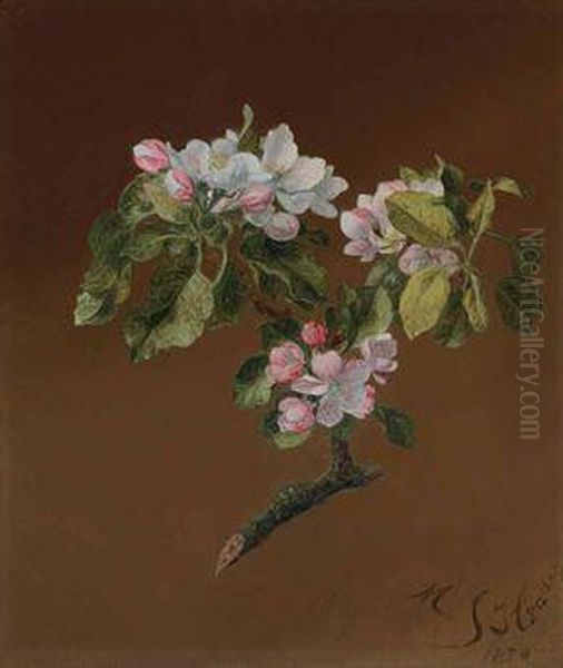 Spray Of Apple Blossoms Oil Painting by Martin Johnson Heade