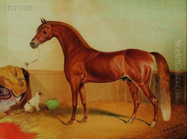 Portrait Of A Horse Oil Painting by Hyder Young Hearsey