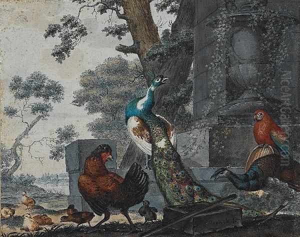 A Peacock And A Peahen With A Parrot And A Cockerel In A Park Landscape Oil Painting by Jabez Heenck