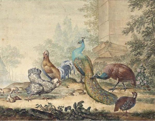 A Peacock And Peahen With Other Fowl In A Yard Oil Painting by Jabez Heenck