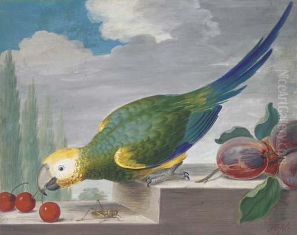 A Green Parrot On A Ledge Pecking At Cherries, With A Grasshopperbelow Oil Painting by J.F. Hefele