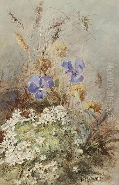 Study Of Wild Flowers Oil Painting by Maria Teresa Hegg