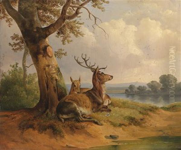 Attributed Red Deerresting Oil Painting by Joseph Heike