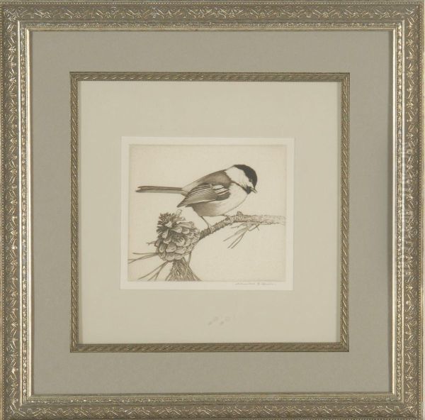 Chickadee On A Pine Bough Oil Painting by Charles Emile Heil