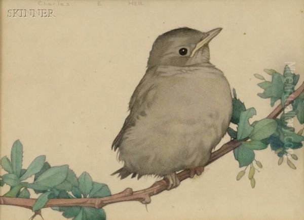 Bird On A Branch Oil Painting by Charles Emile Heil