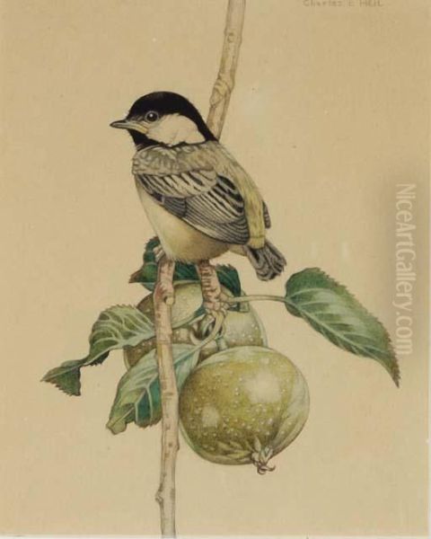 Titmouse On A Fruit Branch Oil Painting by Charles Emile Heil