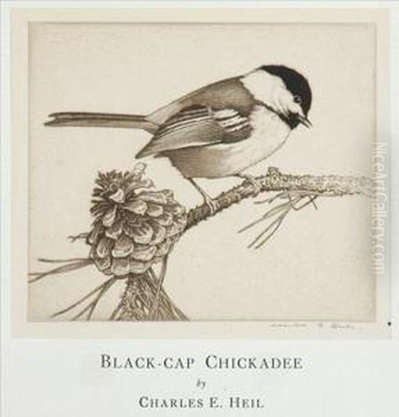 Black-cap Chickadee Oil Painting by Charles Emile Heil