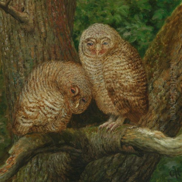 Two Owls Sitting Ina Tree Oil Painting by Gerhard V.E. Heilmann