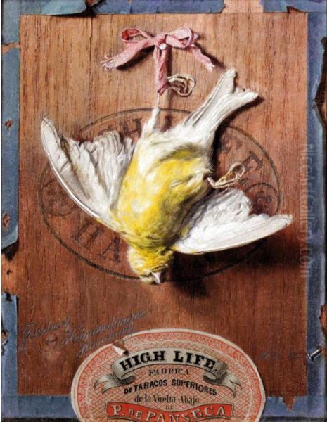 A Bird Hanging From A Cigar Box Lid Oil Painting by Friedrich Heimerdinger