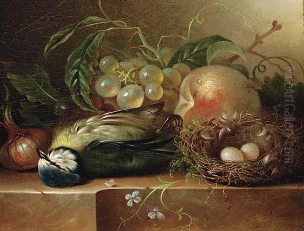 Fruit And A Bird's Nest On A Ledge Oil Painting by Jan Hendrik Verheijen