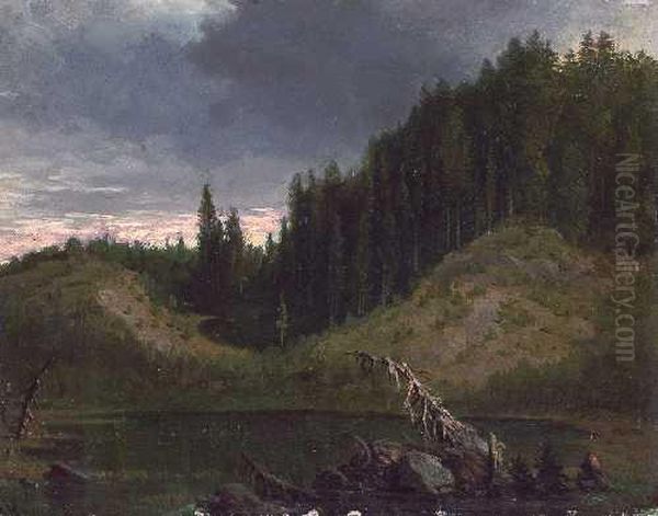 Waldweiher Oil Painting by Heinrich Heinlein