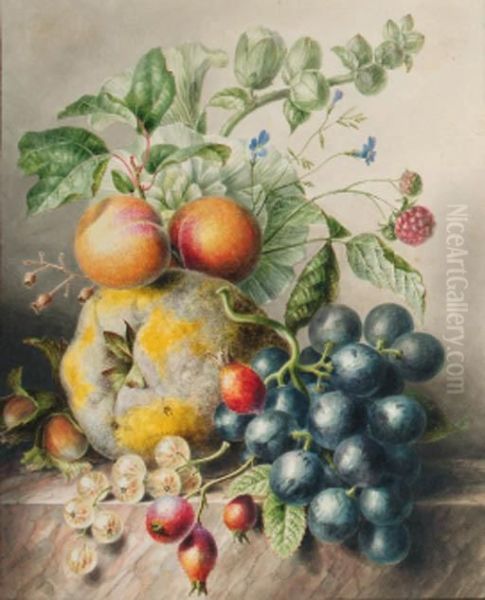 A Quince, A Rose-mallow, Hazelnuts, Berries, Rosehips,blackberries, Peaches And Grapes On A Marble Ledge Oil Painting by Willem Hekking