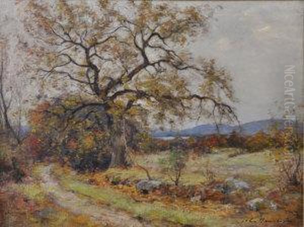 Autumn Leaves Oil Painting by John Henderson