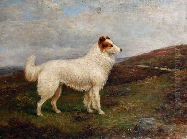 'scott', A Collie On A Moor Oil Painting by William Henderson