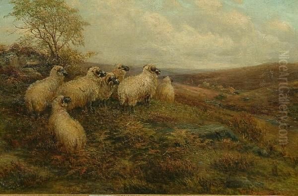 Sheep On The North Yorkshire Moors Oil Painting by William Henderson