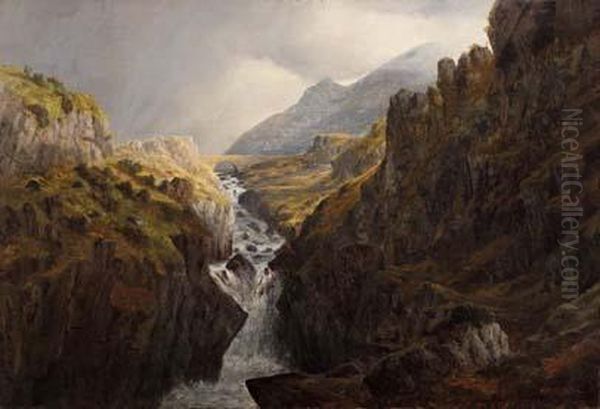 The Falls, The Ogwe, North Wales Oil Painting by Henry W. Henley