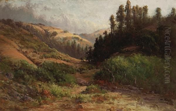 Rolling Hills, Thought To Be Marincounty Oil Painting by Thomas Marie Henry