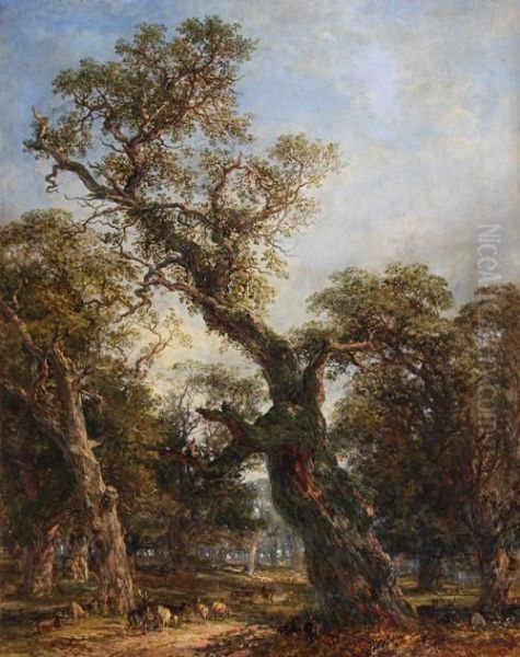 Deer In A Wooded Parkland Oil Painting by Frederick Henry Henshaw